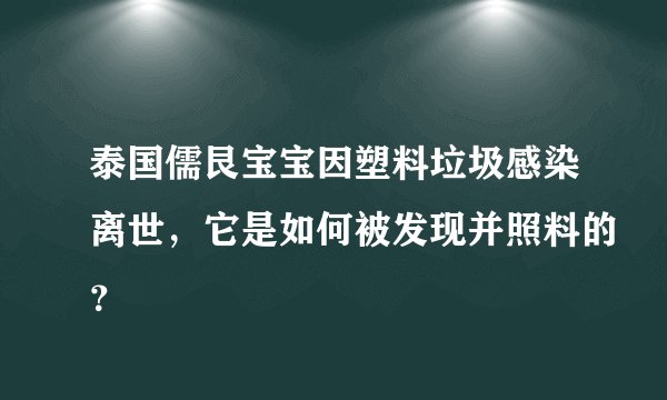 泰国儒艮宝宝因塑料垃圾感染离世，它是如何被发现并照料的？