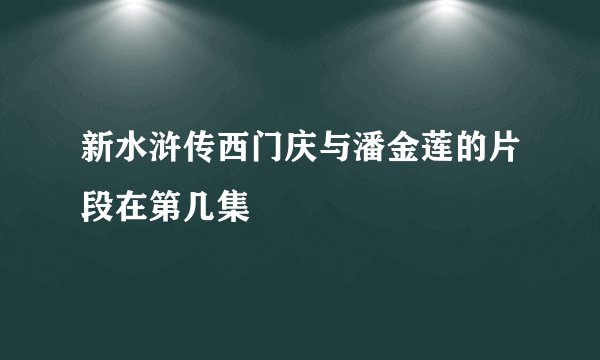新水浒传西门庆与潘金莲的片段在第几集