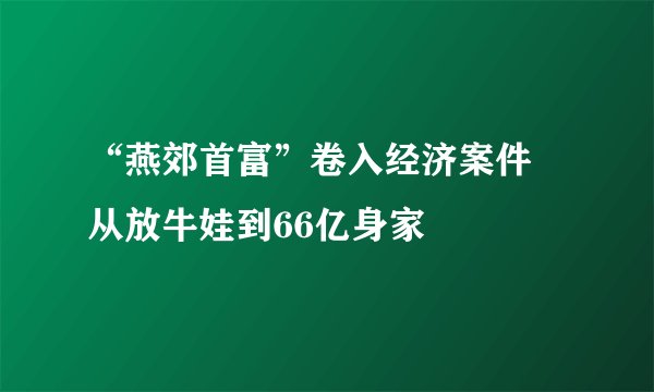 “燕郊首富”卷入经济案件 从放牛娃到66亿身家