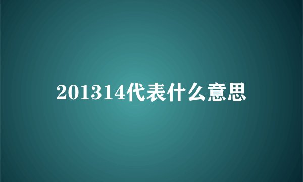 201314代表什么意思