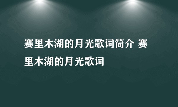 赛里木湖的月光歌词简介 赛里木湖的月光歌词