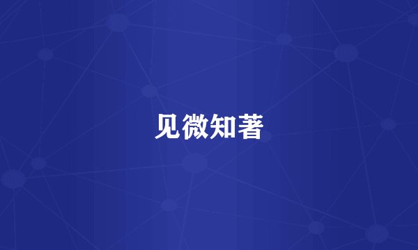 见微知著
