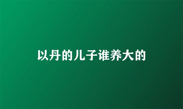 以丹的儿子谁养大的