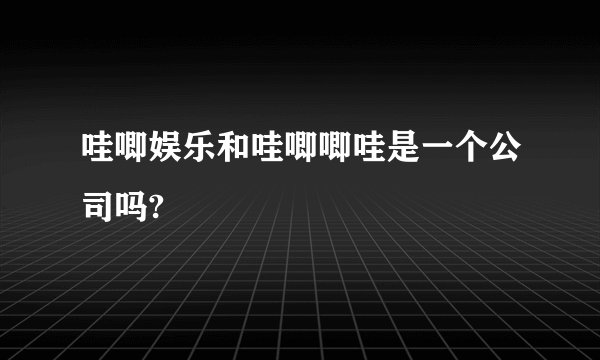 哇唧娱乐和哇唧唧哇是一个公司吗?