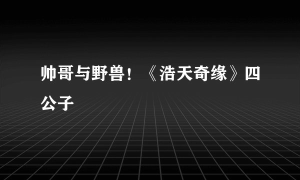 帅哥与野兽！《浩天奇缘》四公子