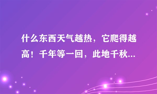 什么东西天气越热，它爬得越高！千年等一回，此地千秋有盛名，四季繁忙田中耕！好人贼索反开怀，猜一生肖