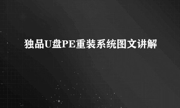 独品U盘PE重装系统图文讲解