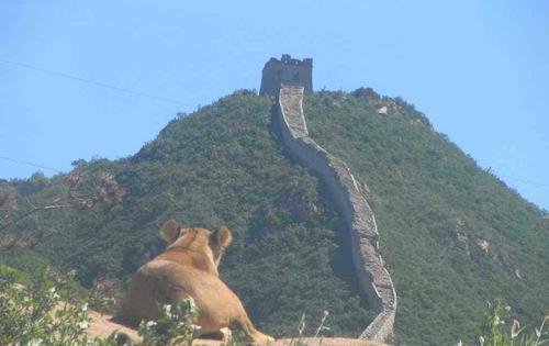八达岭野生动物园门票多少钱