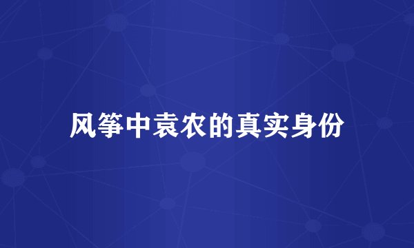 风筝中袁农的真实身份