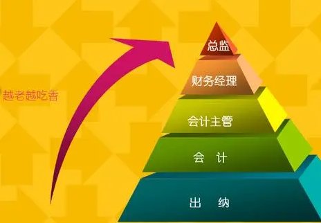 财会怎么读