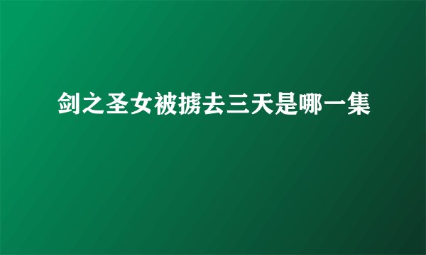 剑之圣女被掳去三天是哪一集