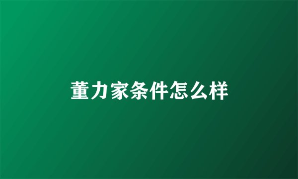 董力家条件怎么样