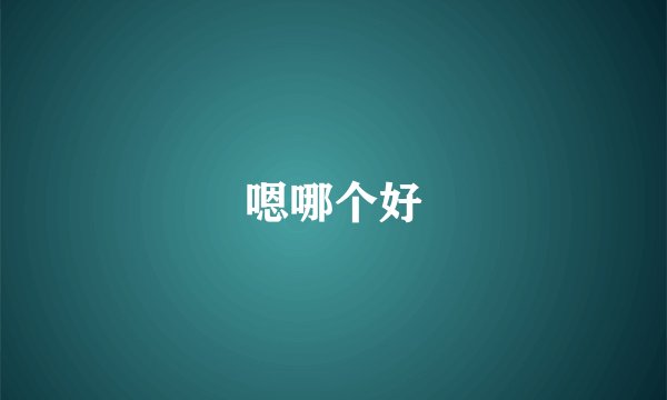 嗯哪个好