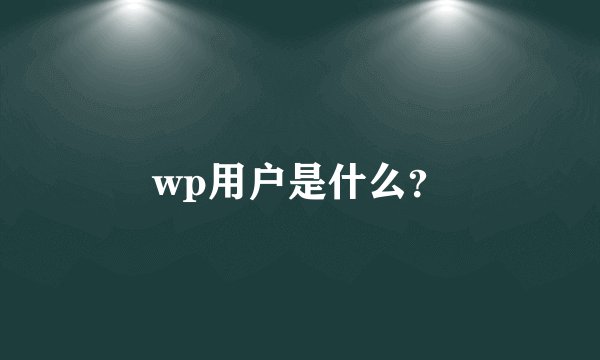 wp用户是什么?