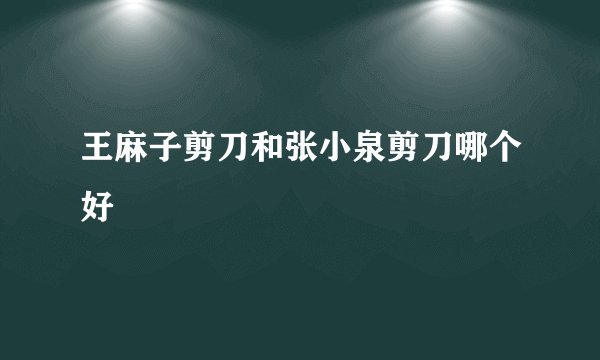 王麻子剪刀和张小泉剪刀哪个好