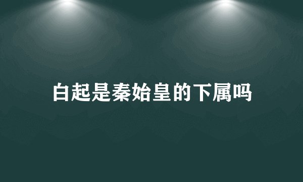 白起是秦始皇的下属吗