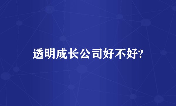 透明成长公司好不好?