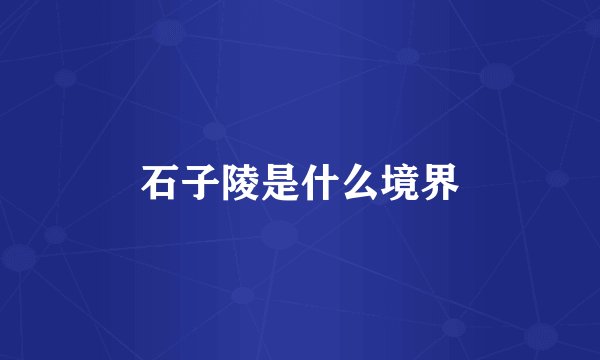 石子陵是什么境界