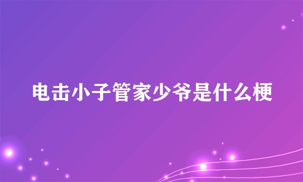 电击小子管家少爷是什么梗