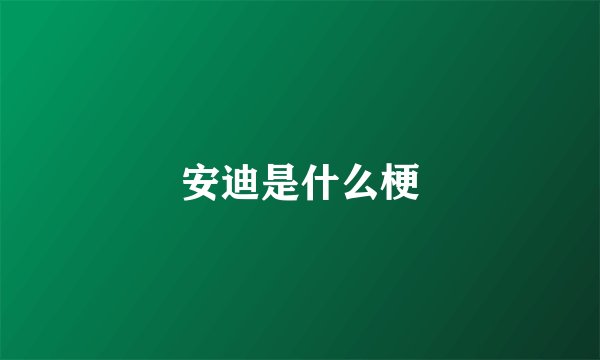 安迪是什么梗