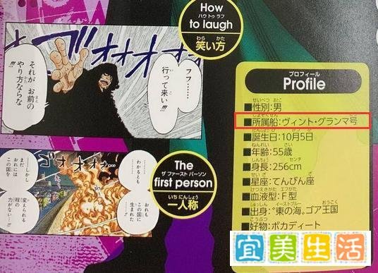 浅谈海贼王里的革命家龙，他的实力仍是个谜，能力却几近曝光！