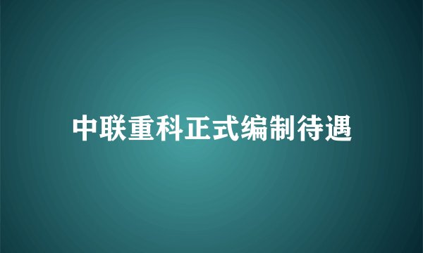 中联重科正式编制待遇
