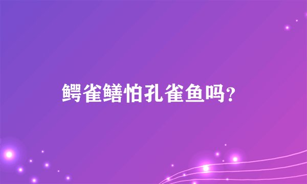 鳄雀鳝怕孔雀鱼吗？