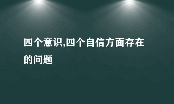 四个意识,四个自信方面存在的问题