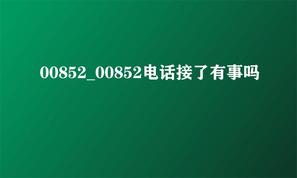 00852_00852电话接了有事吗