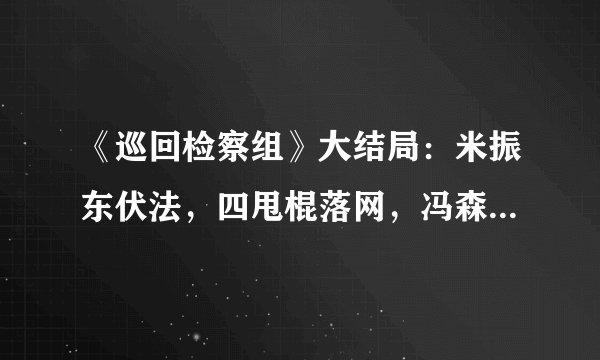 《巡回检察组》大结局：米振东伏法，四甩棍落网，冯森为妻复仇