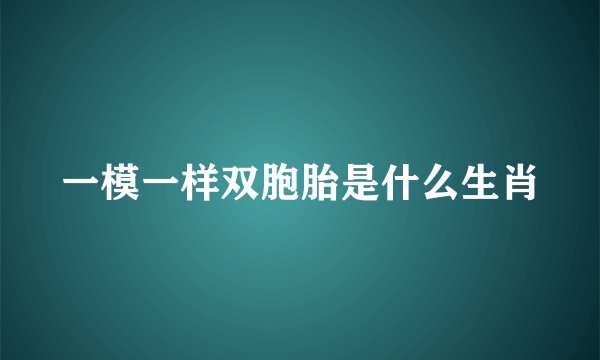 一模一样双胞胎是什么生肖