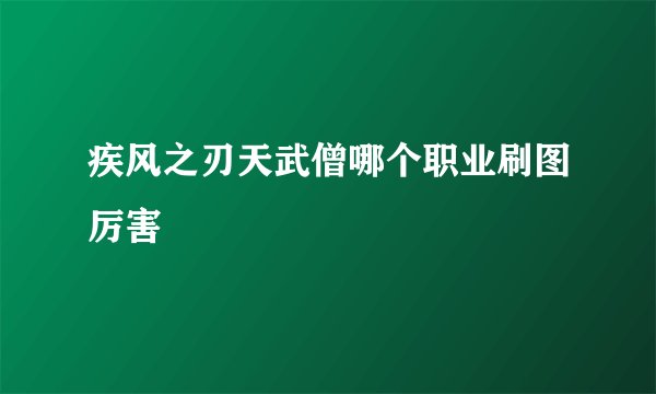 疾风之刃天武僧哪个职业刷图厉害
