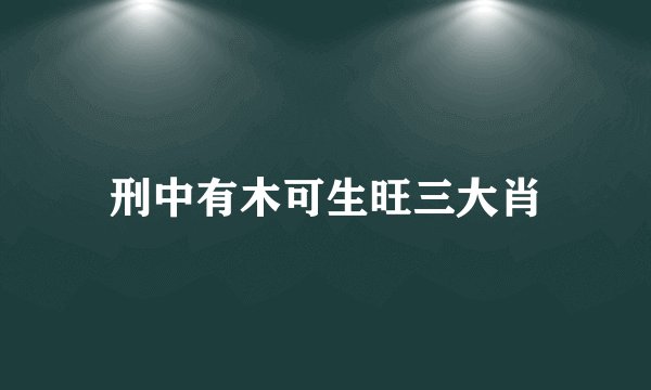刑中有木可生旺三大肖