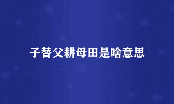 子替父耕母田是啥意思