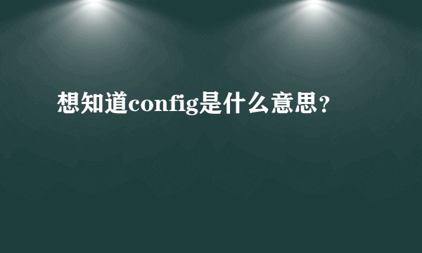 想知道config是什么意思？