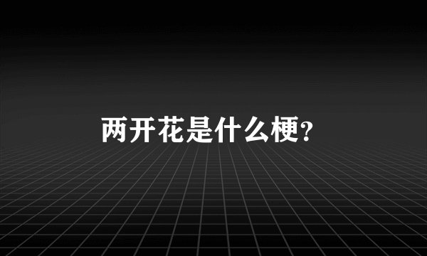两开花是什么梗？