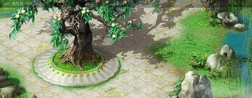 大话西游小精卫练法攻略