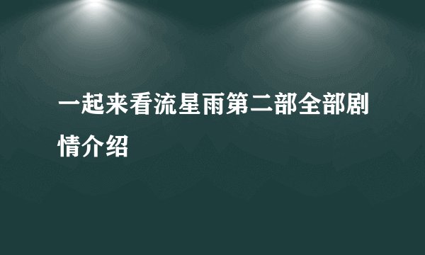 一起来看流星雨第二部全部剧情介绍