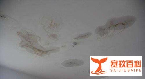 专修房屋漏水 告别漏水烦恼