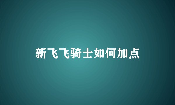 新飞飞骑士如何加点