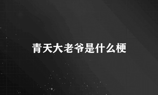 青天大老爷是什么梗