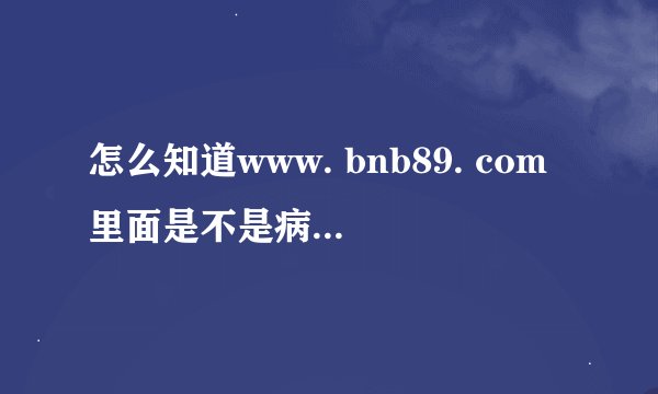 怎么知道www. bnb89. com里面是不是病毒网站？