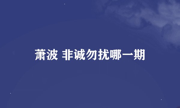 萧波 非诚勿扰哪一期