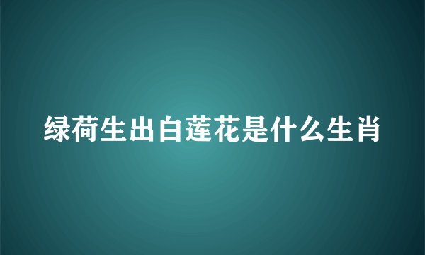 绿荷生出白莲花是什么生肖