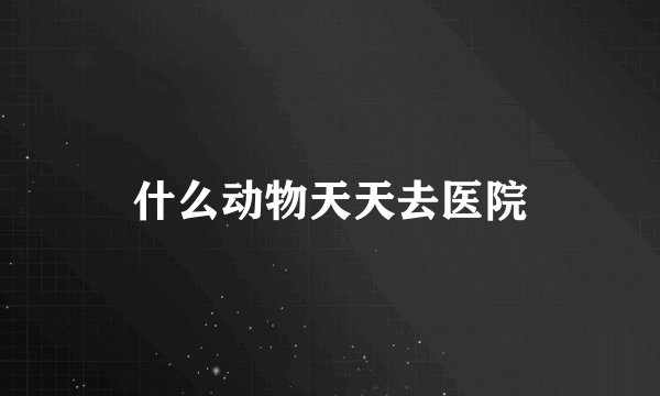 什么动物天天去医院