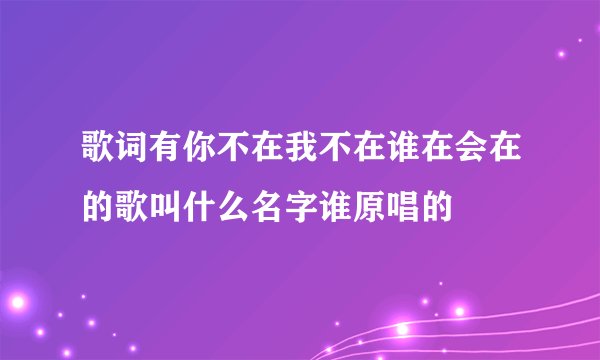 歌词有你不在我不在谁在会在的歌叫什么名字谁原唱的