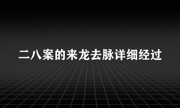 二八案的来龙去脉详细经过