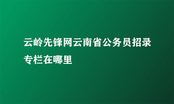 云岭先锋网云南省公务员招录专栏在哪里
