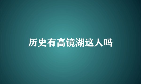 历史有高镜湖这人吗