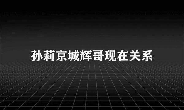 孙莉京城辉哥现在关系